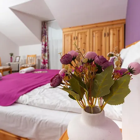 Berkenye Vendeghaz بيت ضيافة بالاتونفوريد