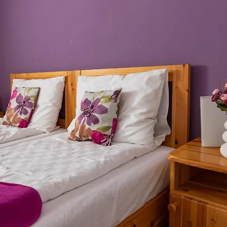 Berkenye Vendeghaz بيت ضيافة 4*