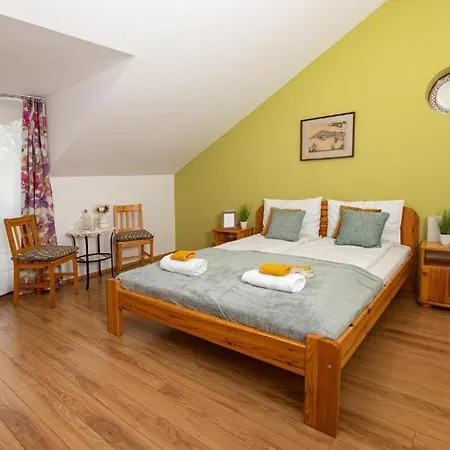 게스트하우스 Berkenye Vendeghaz 블로톤퓌레드