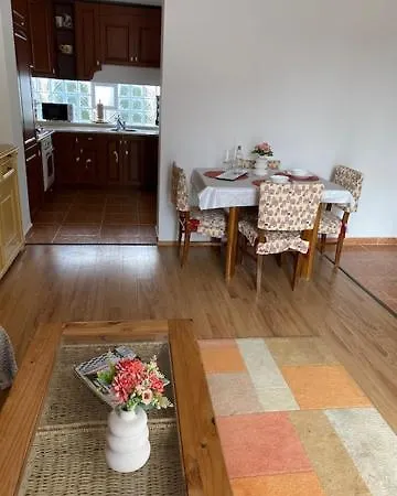 게스트하우스 Berkenye Vendeghaz 블로톤퓌레드